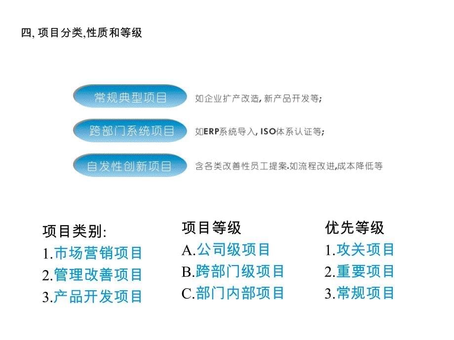 项目化管理导入_第5页