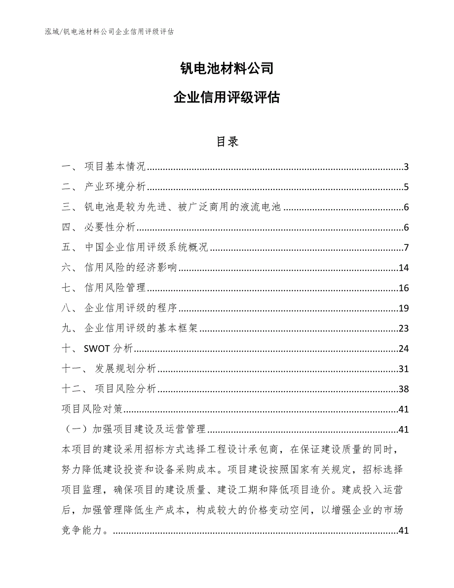 钒电池材料公司企业信用评级评估（范文）_第1页