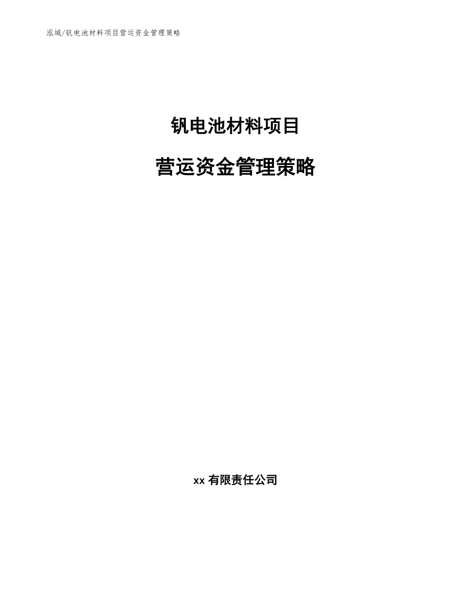 钒电池材料项目营运资金管理策略（参考）_第1页