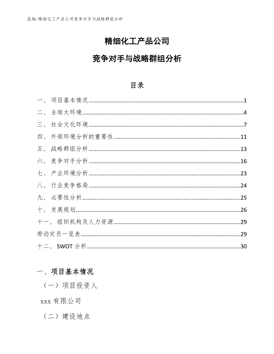 精细化工产品公司竞争对手与战略群组分析_第1页