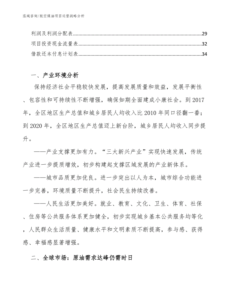 航空煤油项目运营战略分析_第2页