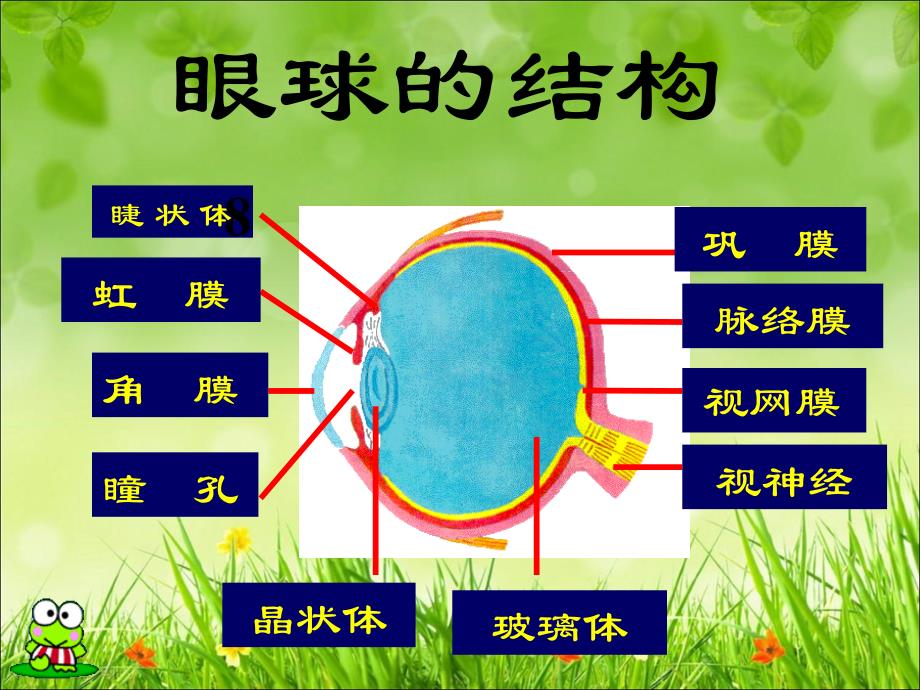 人体对信息的感知_第4页