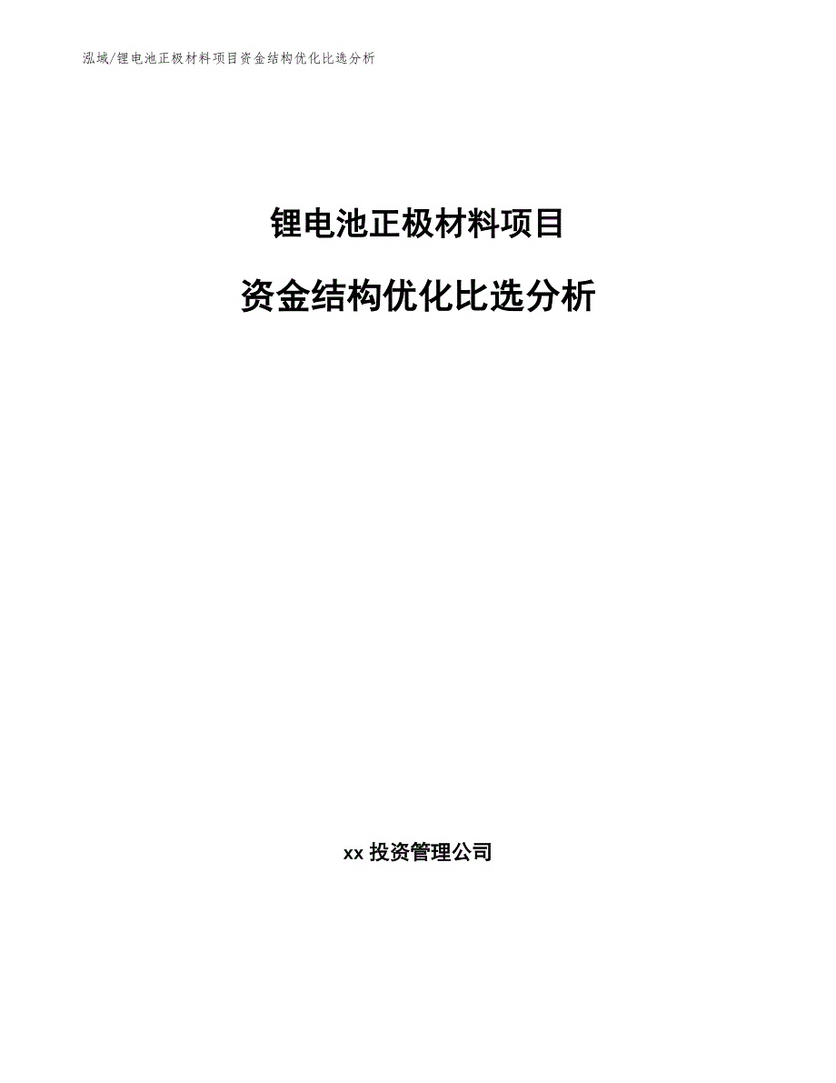 锂电池正极材料项目资金结构优化比选分析（参考）_第1页