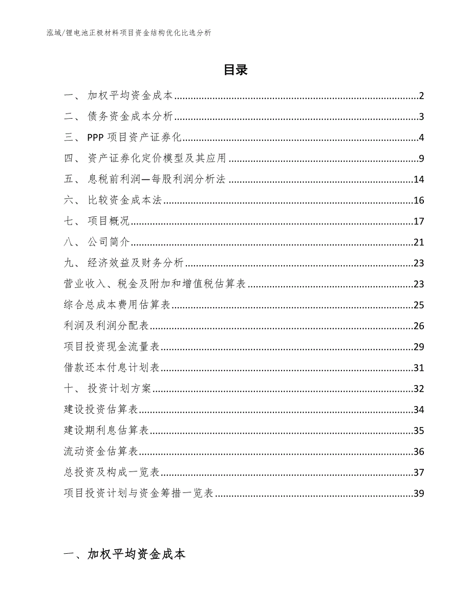 锂电池正极材料项目资金结构优化比选分析（参考）_第2页