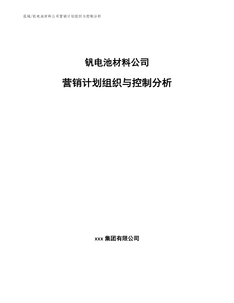 钒电池材料公司营销计划组织与控制分析（范文）_第1页