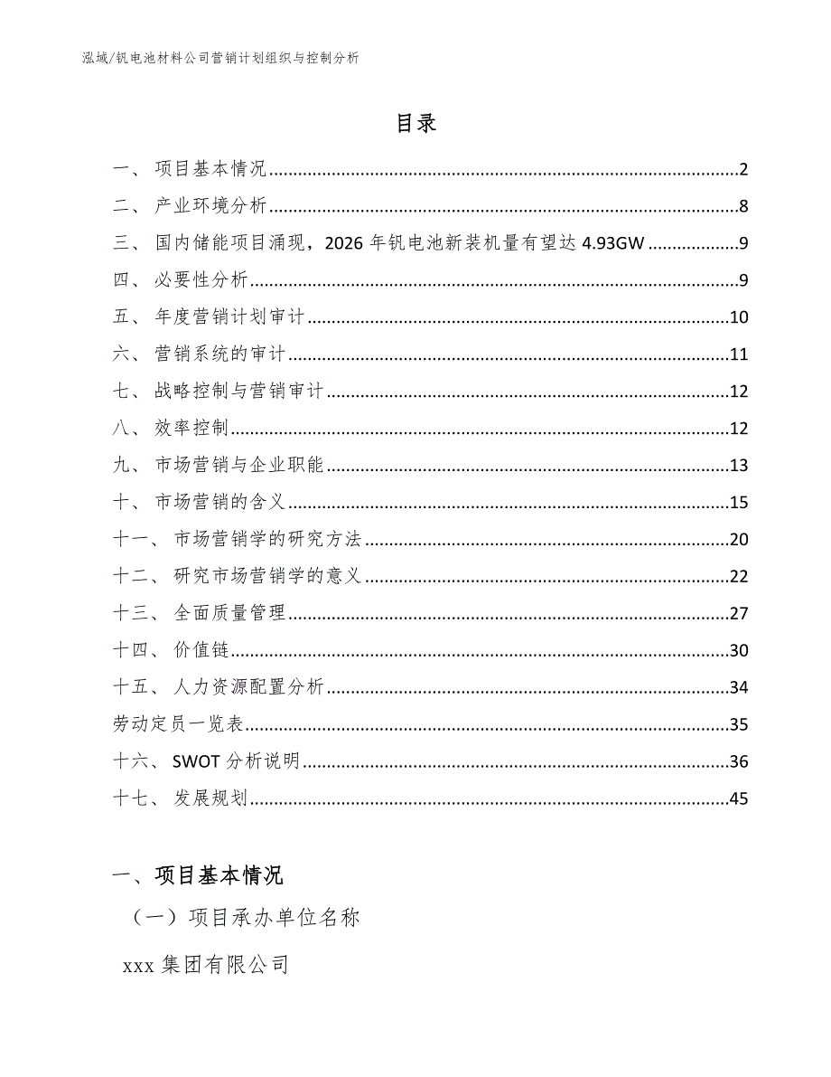 钒电池材料公司营销计划组织与控制分析（范文）_第2页