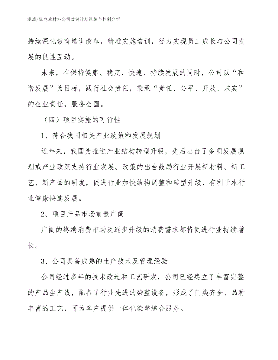 钒电池材料公司营销计划组织与控制分析（范文）_第4页