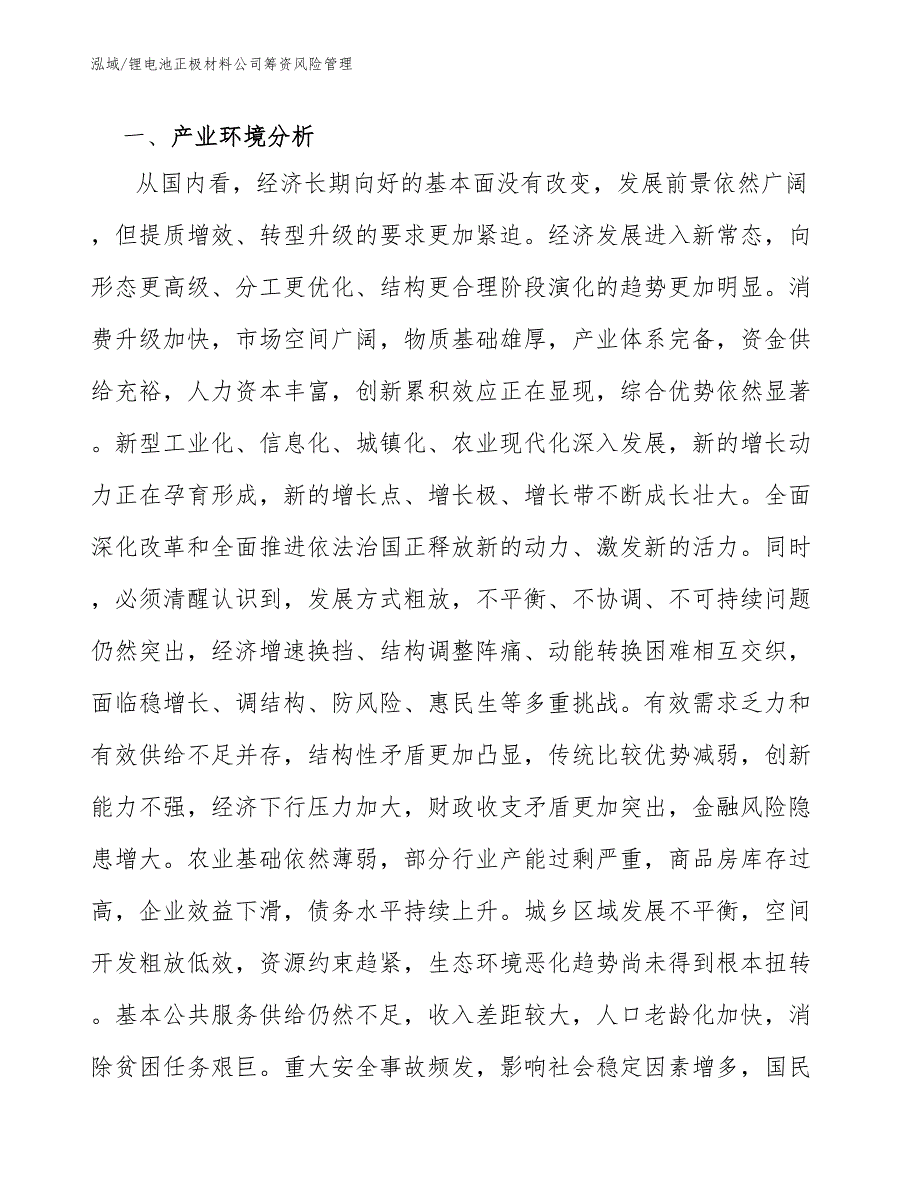 锂电池正极材料公司筹资风险管理_参考_第3页