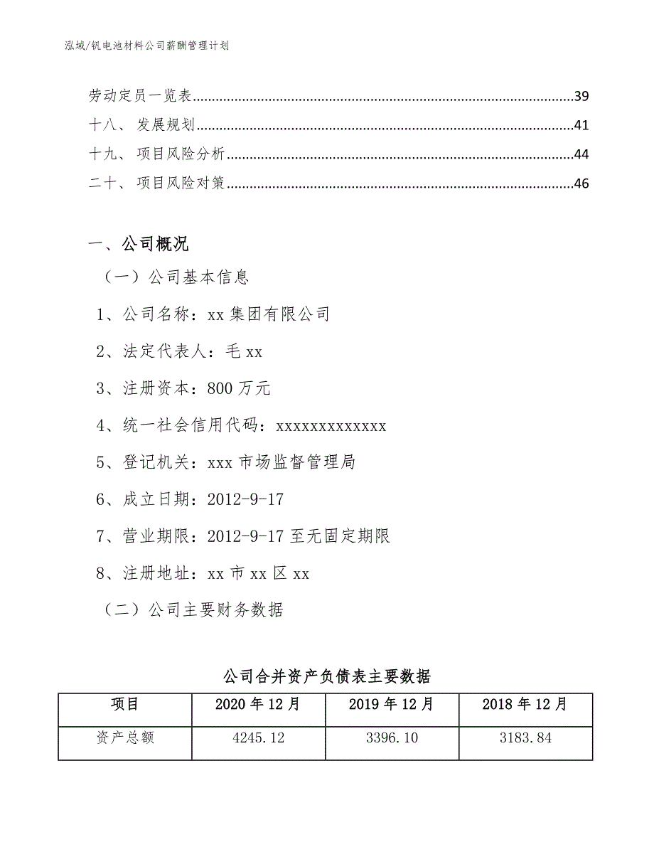 钒电池材料公司薪酬管理计划_第2页