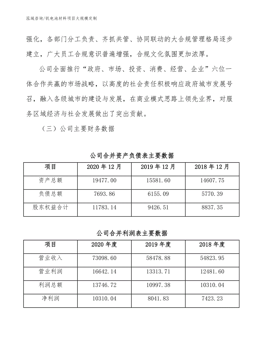 钒电池材料项目大规模定制_参考_第4页