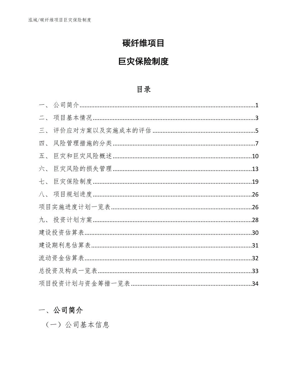 碳纤维项目巨灾保险制度_第1页