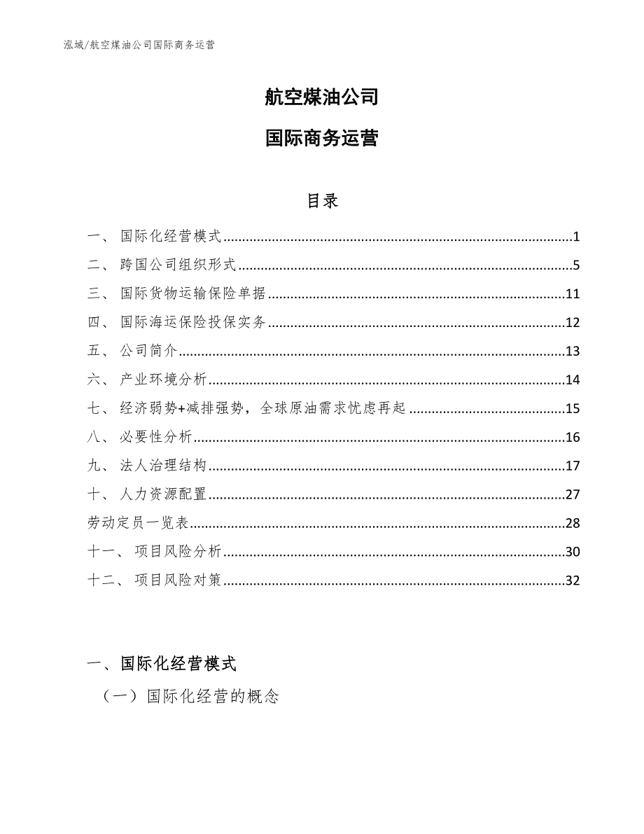 航空煤油公司国际商务运营（参考）_第1页