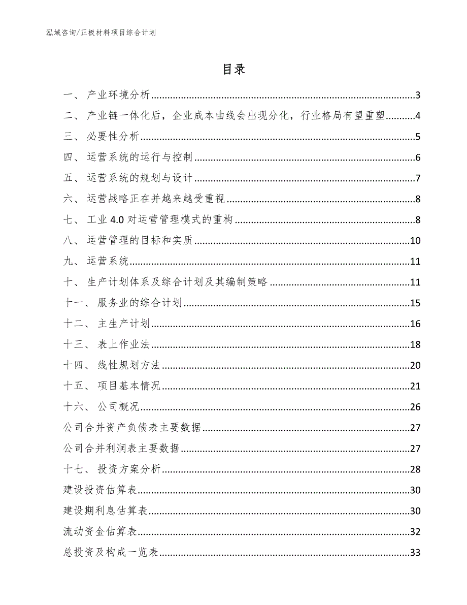 正极材料项目综合计划（参考）_第2页