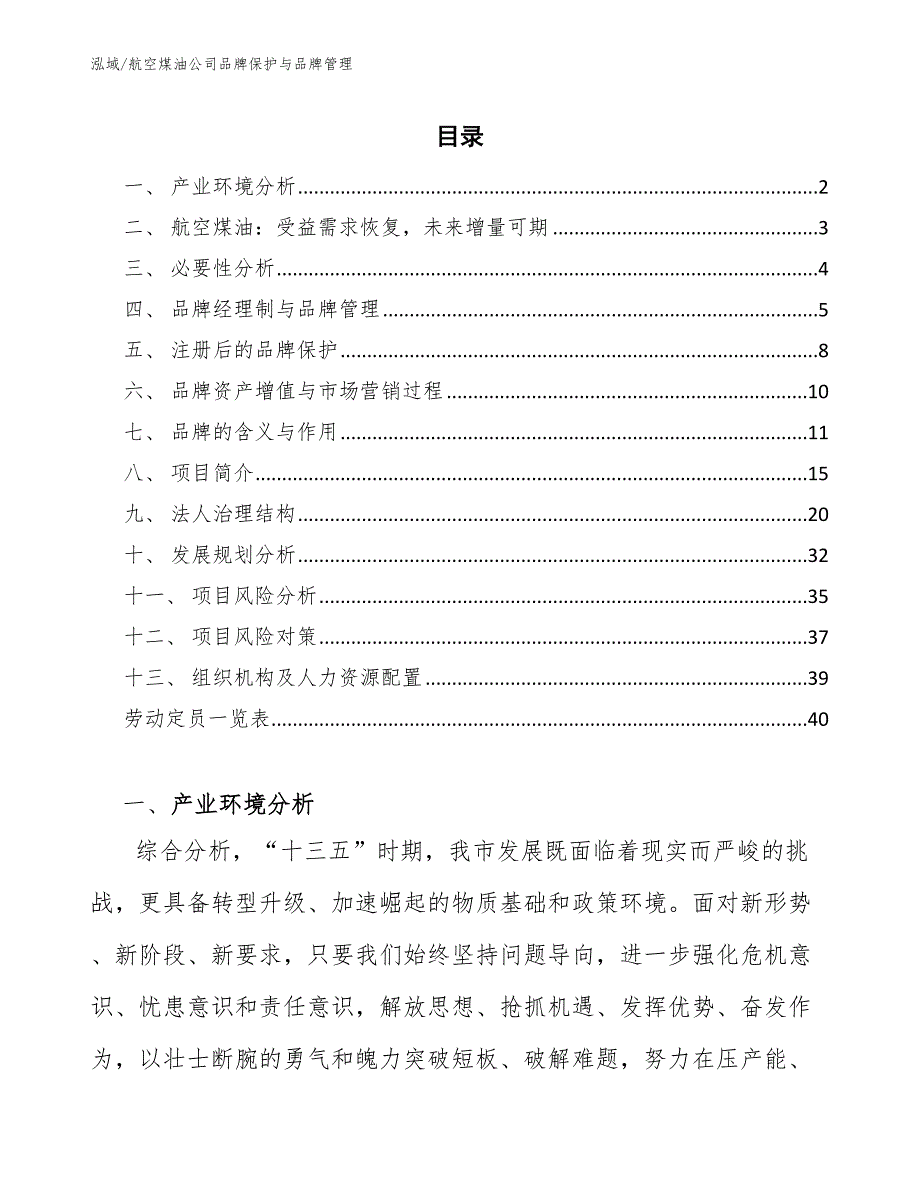 航空煤油公司品牌保护与品牌管理_参考_第2页