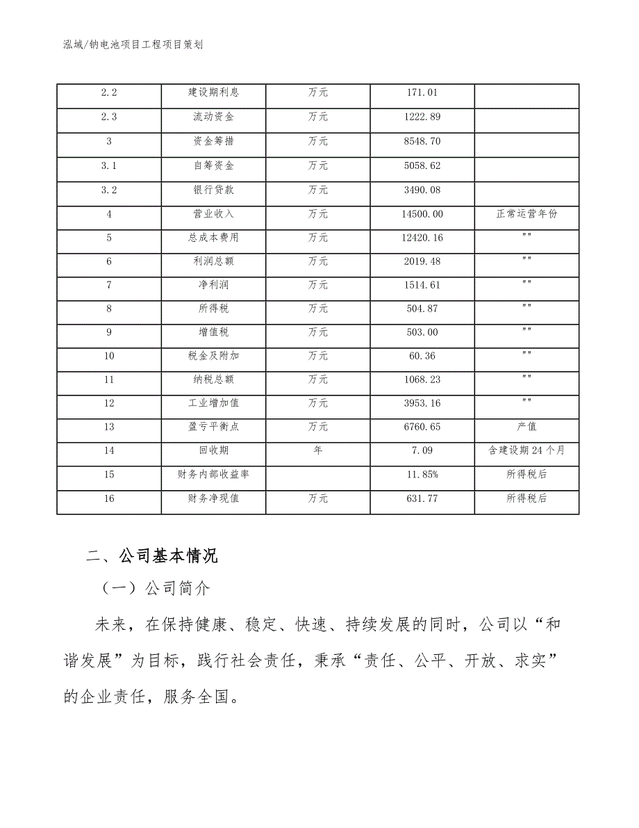 钠电池项目工程项目策划_第4页