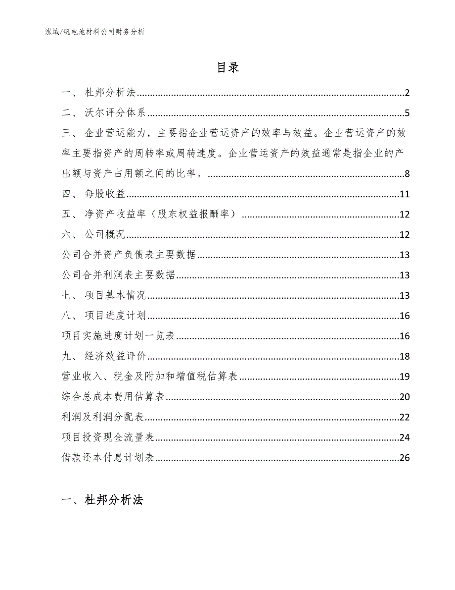 钒电池材料公司财务分析（范文）_第2页