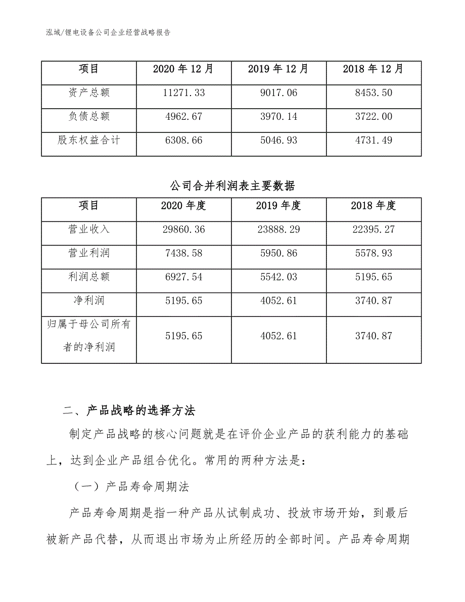 锂电设备公司企业经营战略报告（参考）_第3页