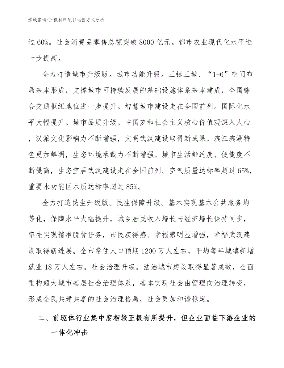 正极材料项目运营方式分析_参考_第4页