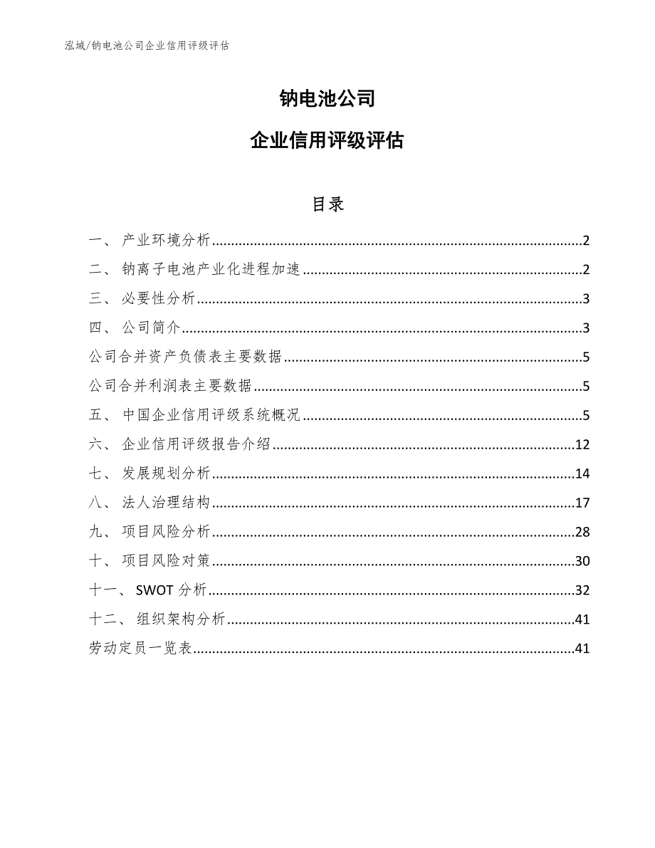 钠电池公司企业信用评级评估_第1页