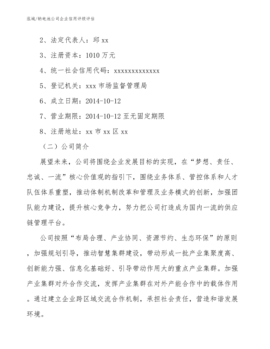 钠电池公司企业信用评级评估_第4页