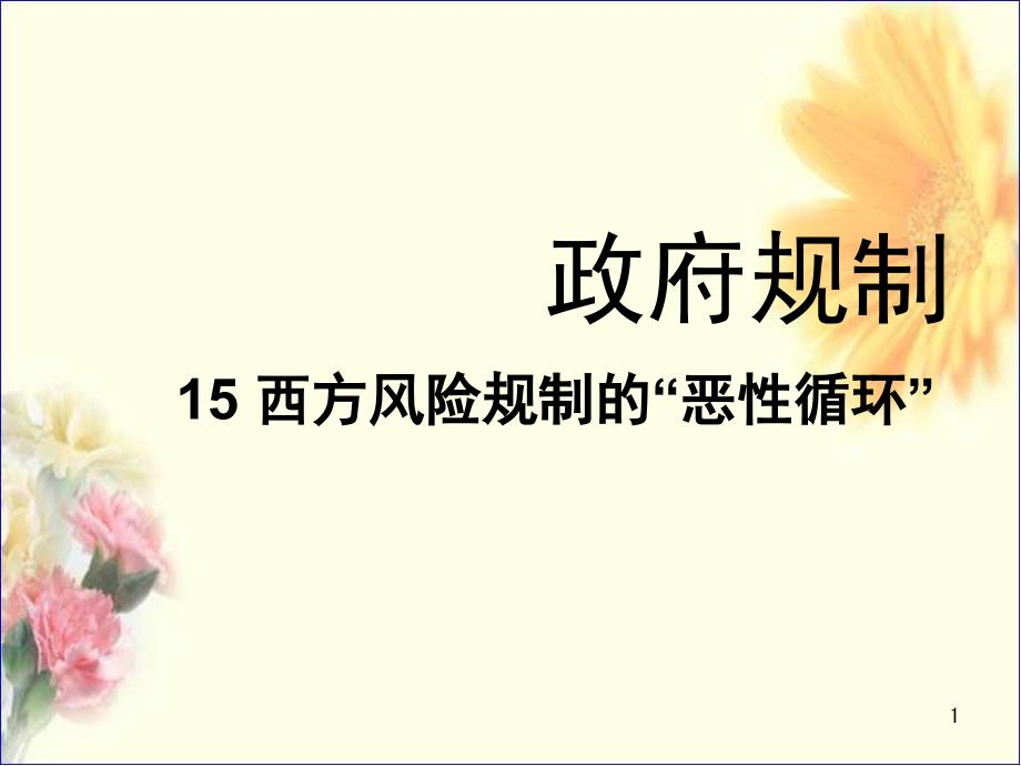 政府规制的理论与实践人性和社会性规制的恶性循环课堂PPT_第1页