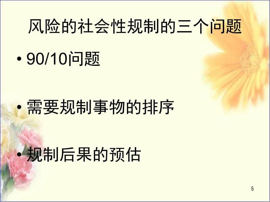 政府规制的理论与实践人性和社会性规制的恶性循环课堂PPT_第5页