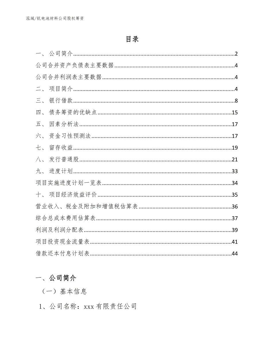 钒电池材料公司股权筹资（范文）_第2页