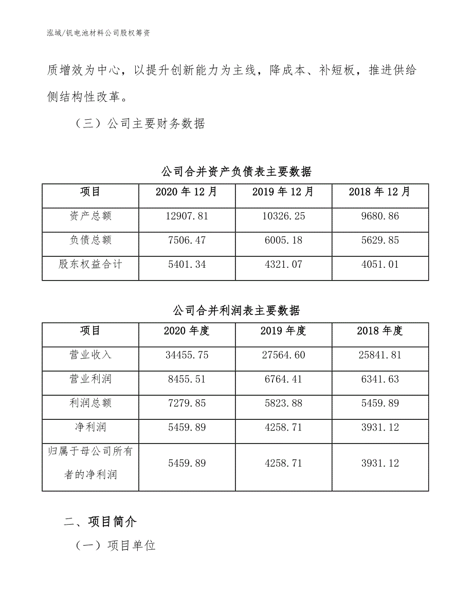 钒电池材料公司股权筹资（范文）_第4页