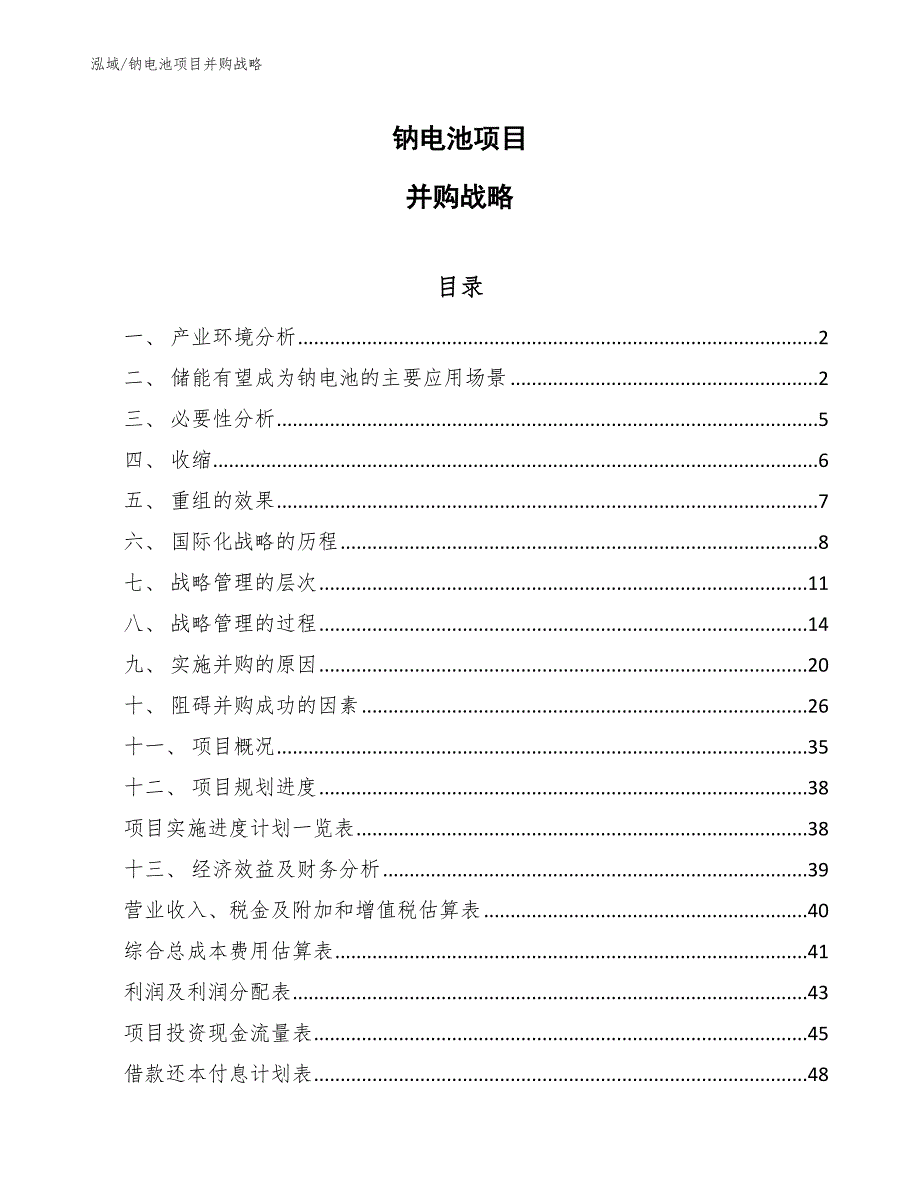 钠电池项目并购战略_范文_第1页