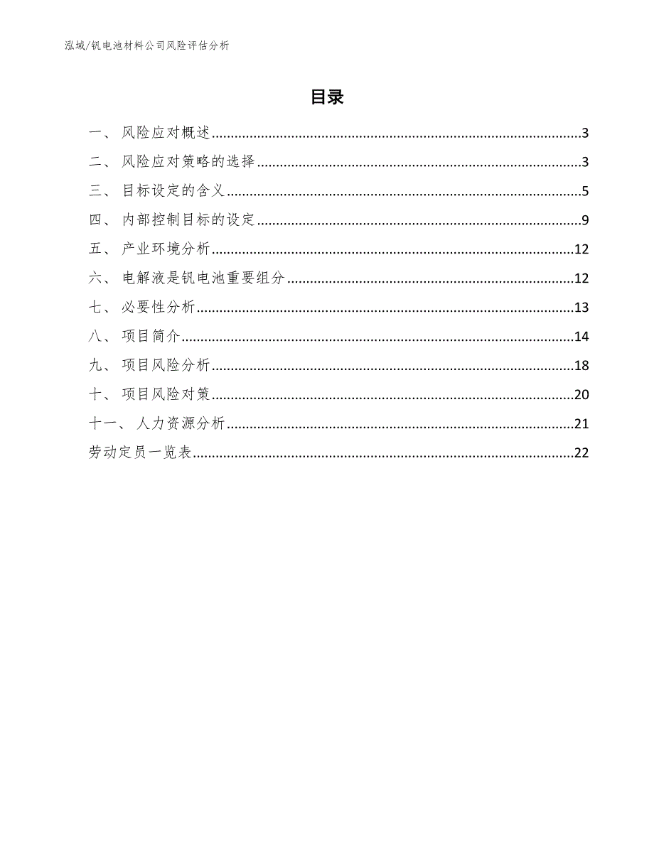 钒电池材料公司风险评估分析_第2页