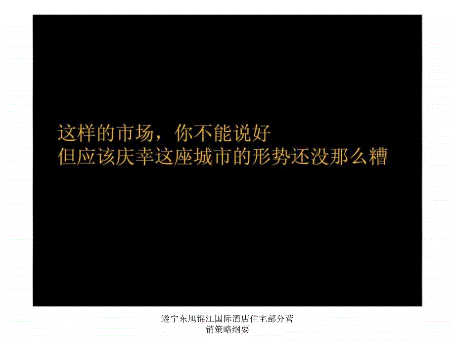 遂宁东旭锦江国际酒店住宅部分营销策略纲要课件_第3页