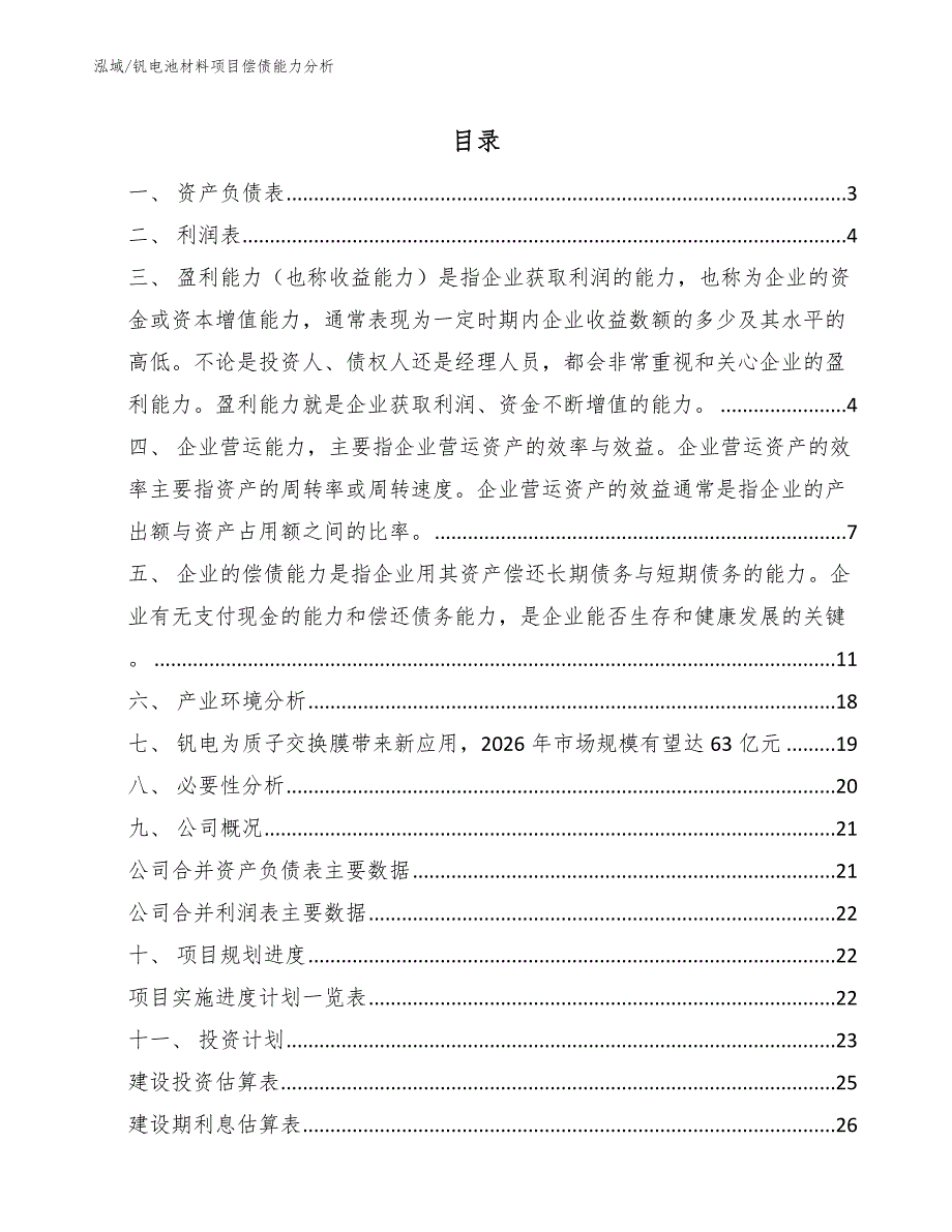 钒电池材料项目偿债能力分析【范文】_第2页