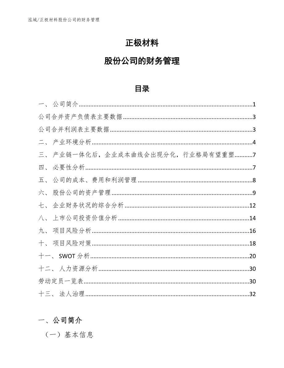 正极材料股份公司的财务管理（范文）_第1页