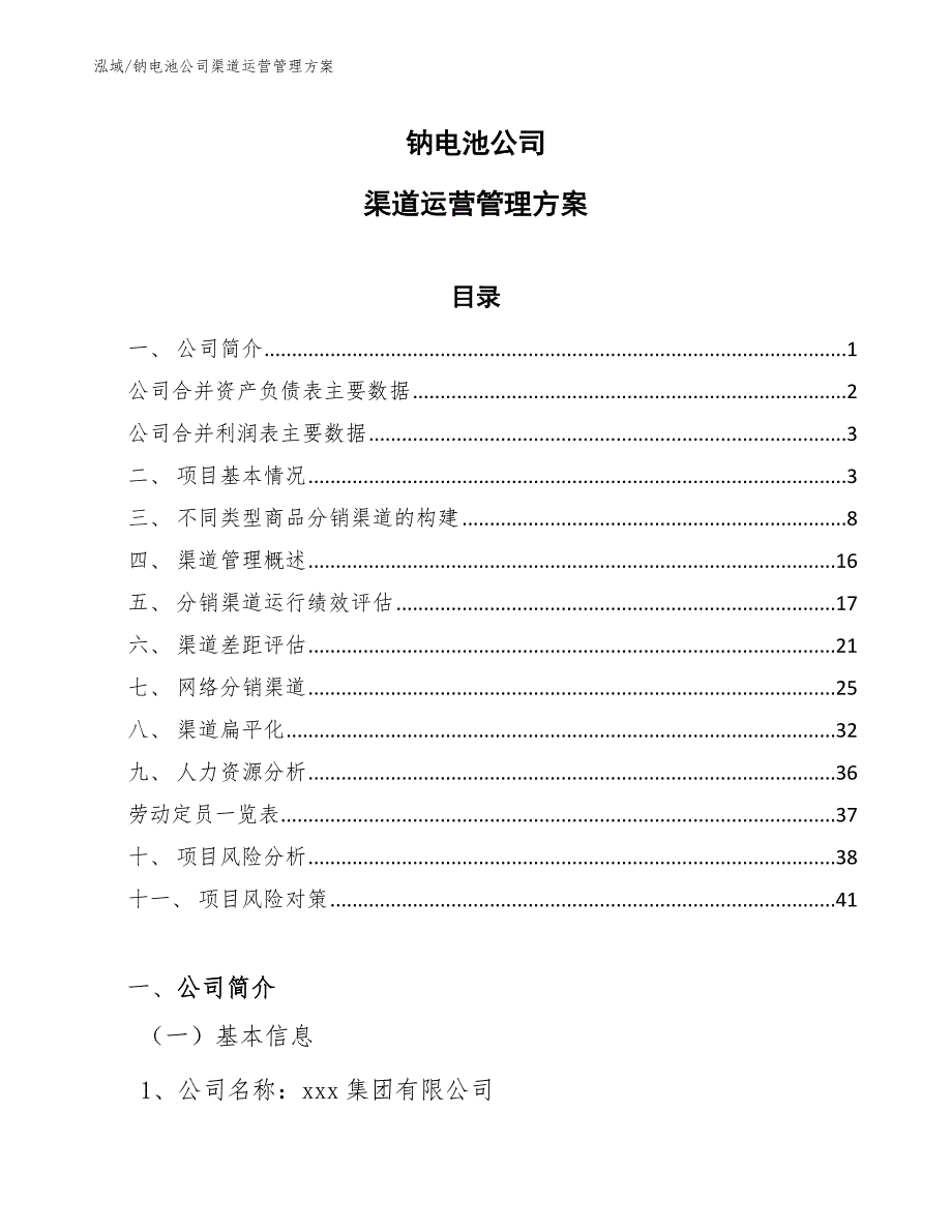 钠电池公司渠道运营管理方案_第1页