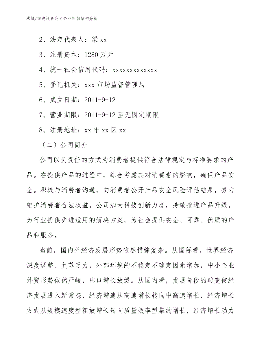 锂电设备公司企业组织结构分析_第3页