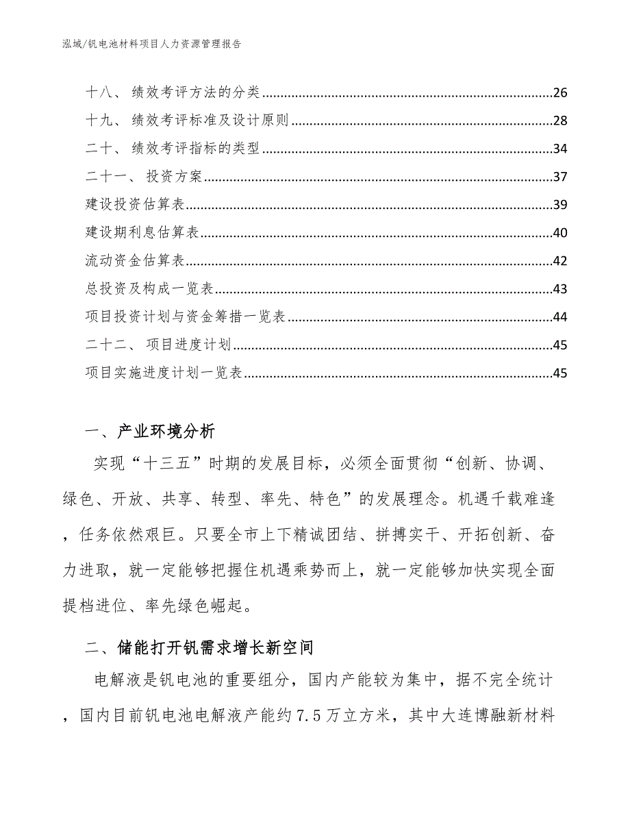 钒电池材料项目人力资源管理报告_第2页