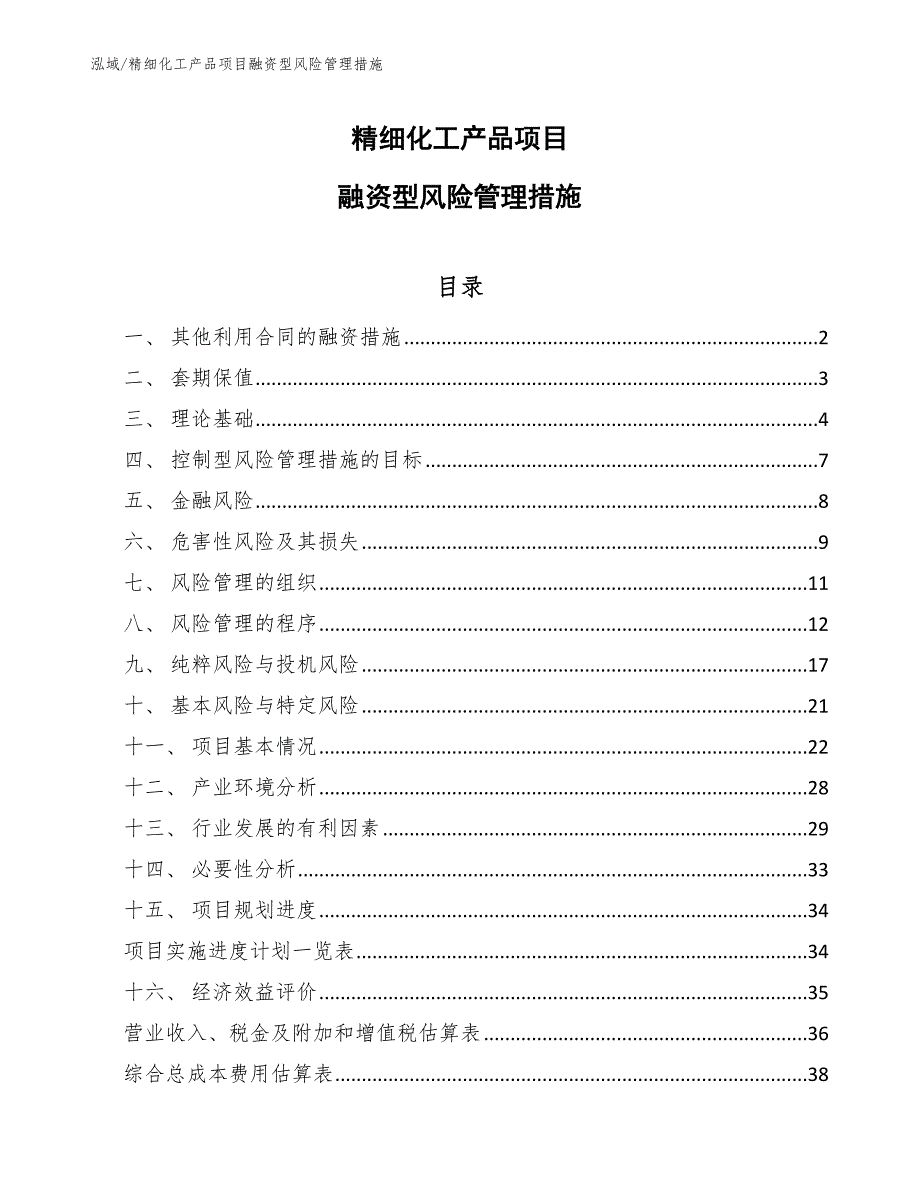 精细化工产品项目融资型风险管理措施_参考_第1页