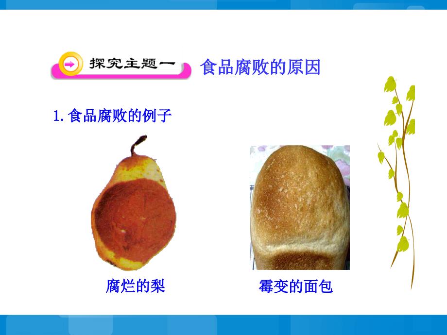 《食品保存》参考课件2_第4页