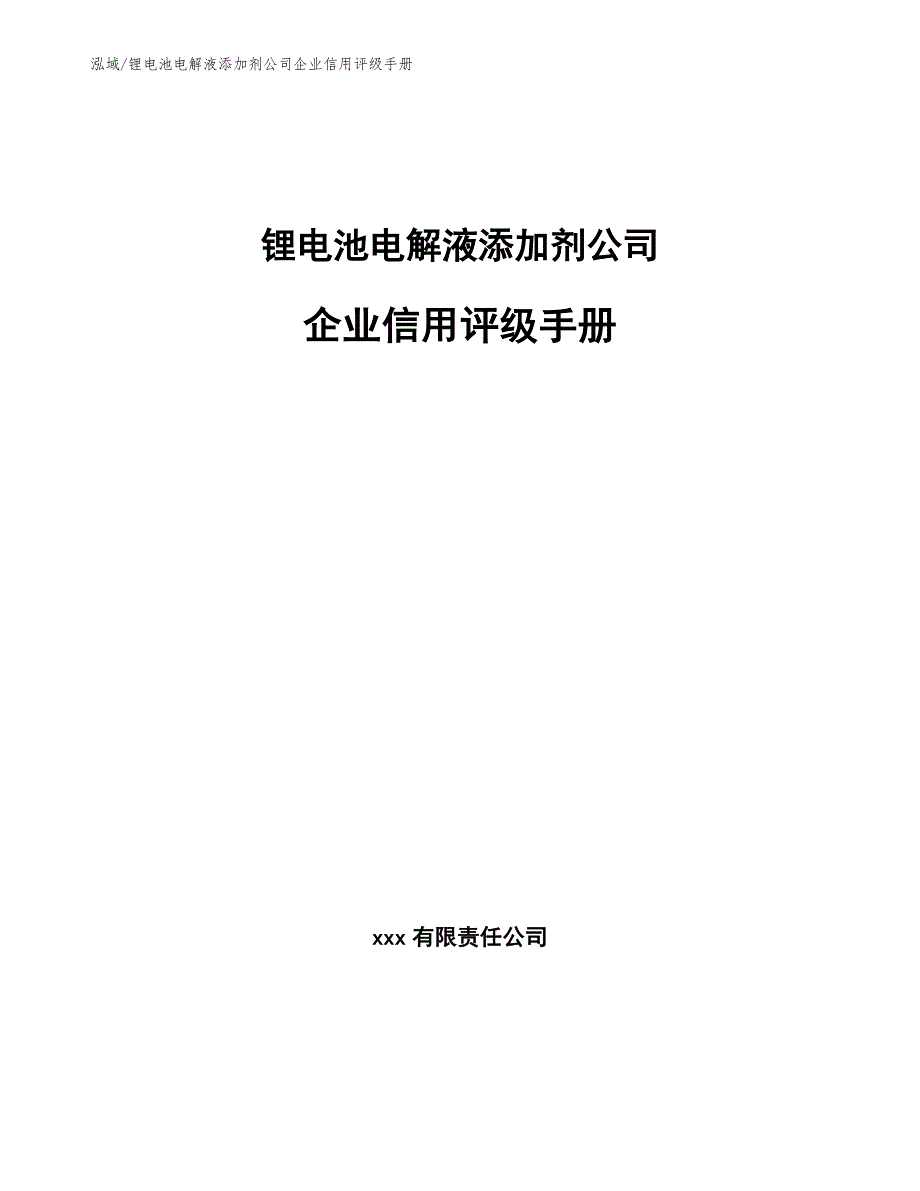 锂电池电解液添加剂公司企业信用评级手册_第1页