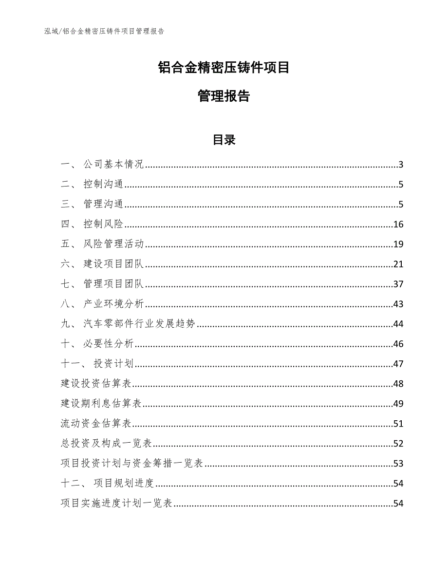 铝合金精密压铸件项目管理报告_第1页