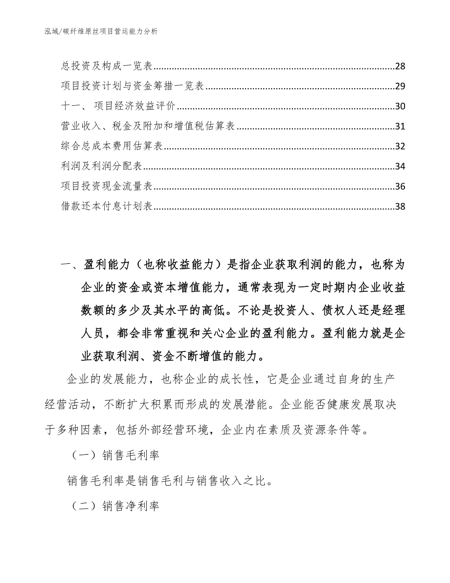 碳纤维原丝项目营运能力分析_第2页