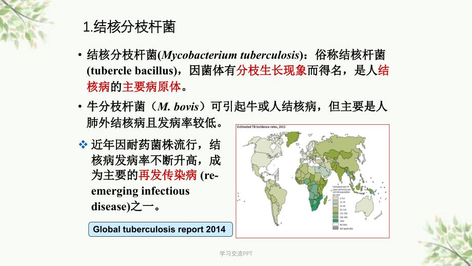 呼吸道感染细菌医学课件_第4页