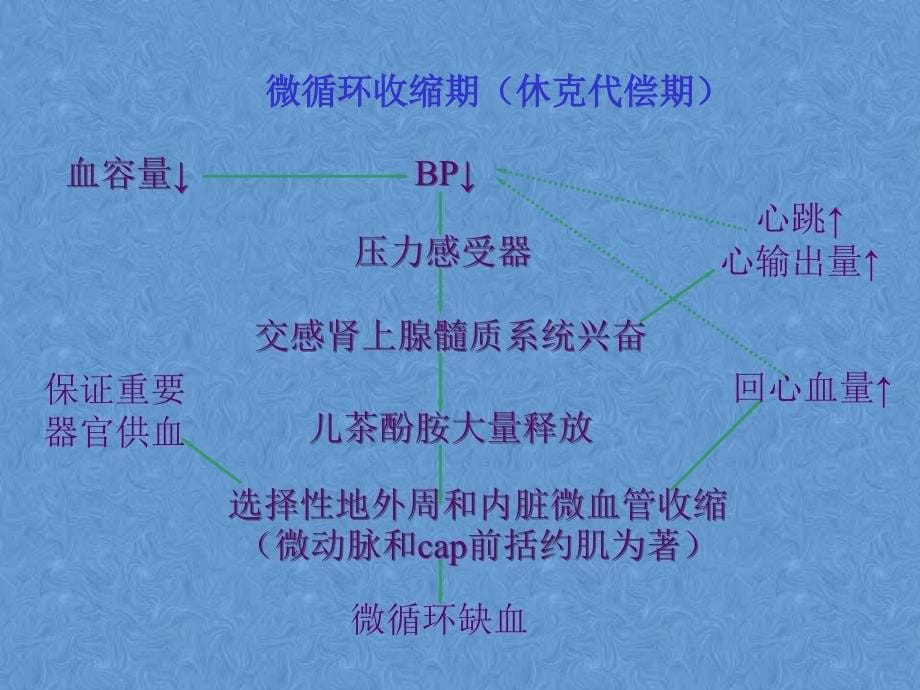 休克病人的病情监测及护理_第5页