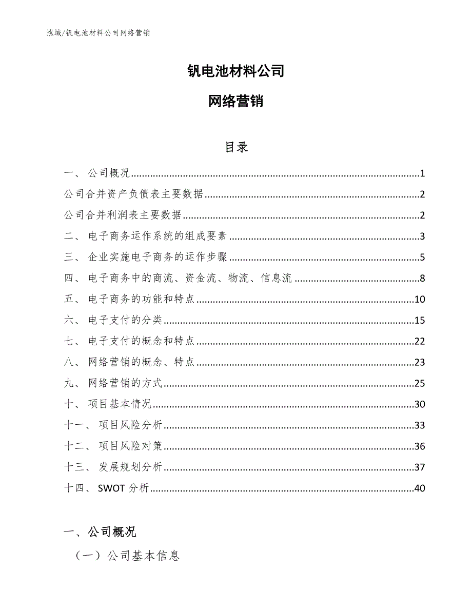 钒电池材料公司网络营销_第1页