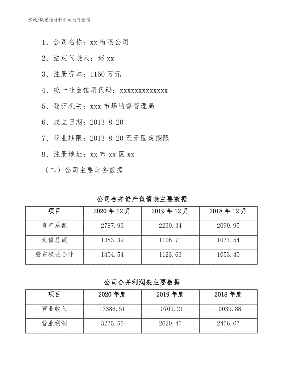 钒电池材料公司网络营销_第2页