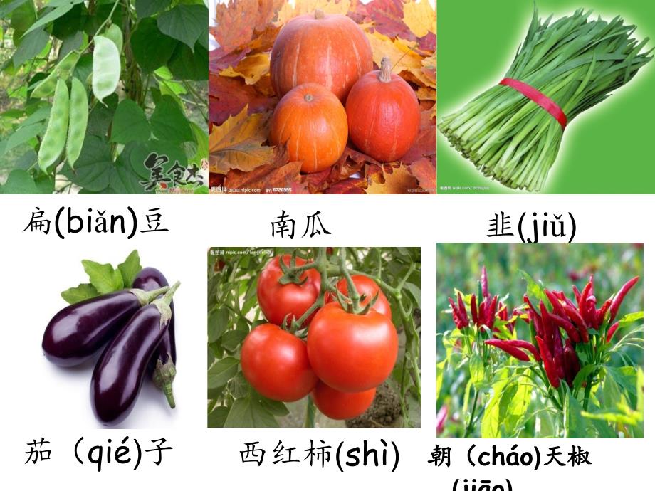 北京版语文二上《蔬菜营养丰富》ppt课件3.ppt_第2页