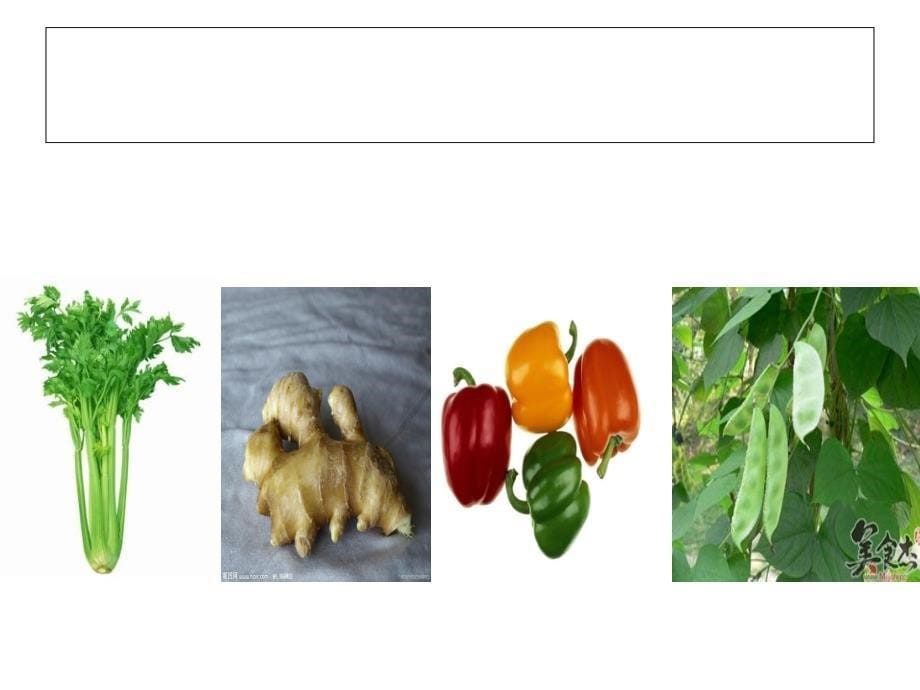 北京版语文二上《蔬菜营养丰富》ppt课件3.ppt_第5页