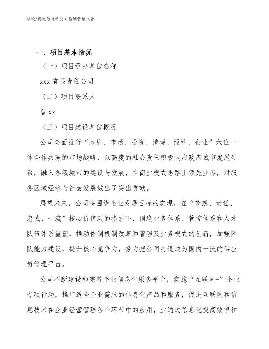 钒电池材料公司薪酬管理报告【范文】_第2页