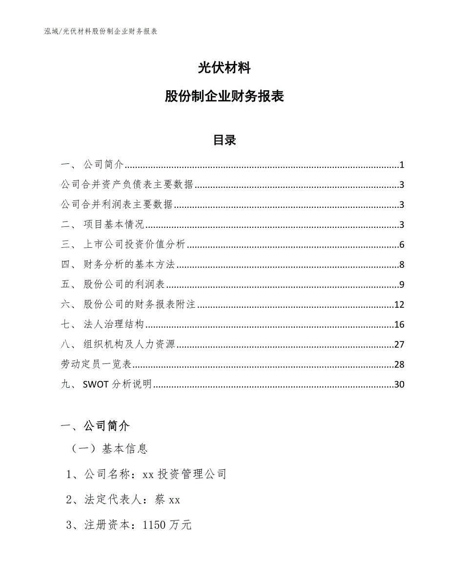 光伏材料股份制企业财务报表（范文）_第1页