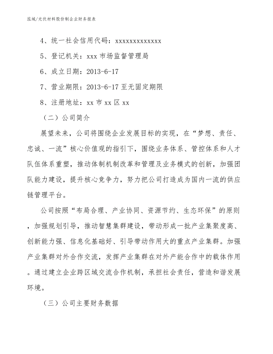 光伏材料股份制企业财务报表（范文）_第2页